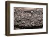 Greater Mouse-Eared Bat (Myotis Myotis)-Kerstin Hinze-Framed Premium Photographic Print