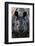 Greater one-horned rhinoceros close up, India-Uri Golman-Framed Photographic Print