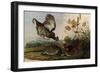 Greater Prairie Chicken-John James Audubon-Framed Premium Giclee Print