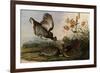 Greater Prairie Chicken-John James Audubon-Framed Giclee Print