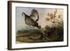 Greater Prairie Chicken-John James Audubon-Framed Giclee Print