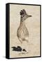 Greater Roadrunner-Hal Beral-Framed Stretched Canvas