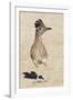 Greater Roadrunner-Hal Beral-Framed Photographic Print