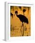 Greater Sandhill Cranes in Winter-null-Framed Photographic Print