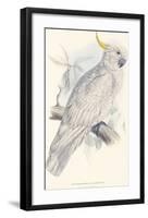 Greater Sulphur-Crested Cockatoo-Edward Lear-Framed Premium Giclee Print