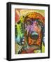 Greater Swiss Mountain Dog-Dean Russo-Framed Giclee Print