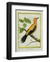 Greater Yellownape-Georges-Louis Buffon-Framed Giclee Print