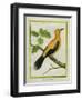 Greater Yellownape-Georges-Louis Buffon-Framed Giclee Print