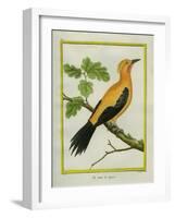 Greater Yellownape-Georges-Louis Buffon-Framed Giclee Print