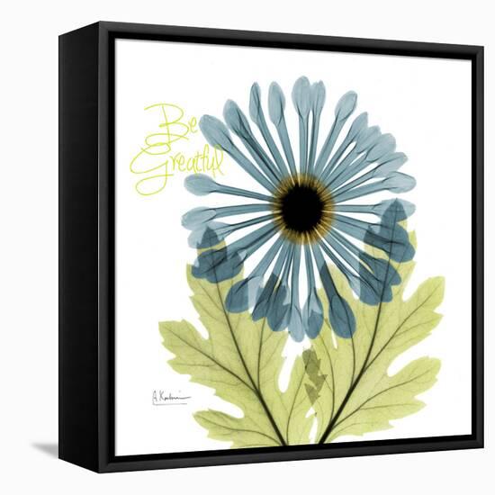 Greatful Chrysanthemum H68-Albert Koetsier-Framed Stretched Canvas