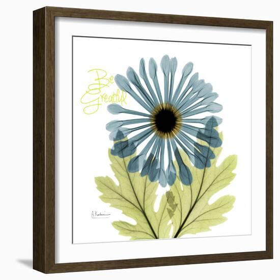 Greatful Chrysanthemum H68-Albert Koetsier-Framed Photographic Print