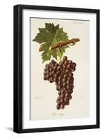 Grec Rouge Grape-J. Troncy-Framed Giclee Print