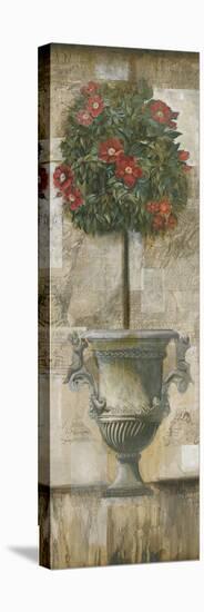 Grecian Bloom II-Augustine-Stretched Canvas