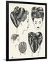 Grecian Contour Hairstyle Diagrams-null-Framed Art Print