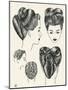 Grecian Contour Hairstyle Diagrams-null-Mounted Art Print