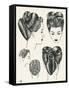 Grecian Contour Hairstyle Diagrams-null-Framed Stretched Canvas