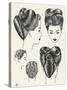 Grecian Contour Hairstyle Diagrams-null-Stretched Canvas