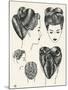 Grecian Contour Hairstyle Diagrams-null-Mounted Art Print