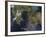 Greece and Turkey-Stocktrek Images-Framed Photographic Print