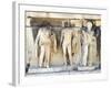 Greece, Athens, the Acropolis of Athens, Dionysus Theatre, Reliefs of Proscenium-null-Framed Giclee Print