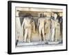 Greece, Athens, the Acropolis of Athens, Dionysus Theatre, Reliefs of Proscenium-null-Framed Giclee Print