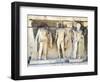 Greece, Athens, the Acropolis of Athens, Dionysus Theatre, Reliefs of Proscenium-null-Framed Giclee Print