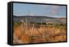 Greece, Crete, Chandras Plateau, Wind Turbines, Evening Light-Catharina Lux-Framed Stretched Canvas