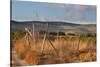 Greece, Crete, Chandras Plateau, Wind Turbines, Evening Light-Catharina Lux-Stretched Canvas