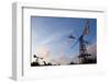 Greece, Crete, Chandras Plateau, Wind Turbines-Catharina Lux-Framed Photographic Print