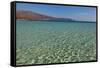 Greece, Crete, Dream Beach Elafonisi-Catharina Lux-Framed Stretched Canvas