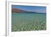 Greece, Crete, Dream Beach Elafonisi-Catharina Lux-Framed Photographic Print