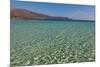 Greece, Crete, Dream Beach Elafonisi-Catharina Lux-Mounted Photographic Print