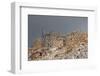 Greece, Crete, Pass of Ambelos, Windmills-Catharina Lux-Framed Photographic Print