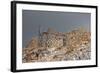 Greece, Crete, Pass of Ambelos, Windmills-Catharina Lux-Framed Photographic Print