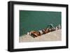 Greece, Crete, Sitia, Harbour, Landing Stage, Ropes-Catharina Lux-Framed Photographic Print