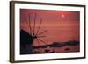 Greece, Cyclades Islands, Mykonos. Boni Windmill and Mykonos Harbor-Walter Bibikow-Framed Photographic Print