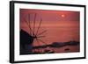 Greece, Cyclades Islands, Mykonos. Boni Windmill and Mykonos Harbor-Walter Bibikow-Framed Photographic Print