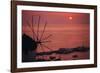 Greece, Cyclades Islands, Mykonos. Boni Windmill and Mykonos Harbor-Walter Bibikow-Framed Photographic Print