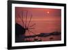 Greece, Cyclades Islands, Mykonos. Boni Windmill and Mykonos Harbor-Walter Bibikow-Framed Photographic Print