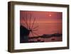 Greece, Cyclades Islands, Mykonos. Boni Windmill and Mykonos Harbor-Walter Bibikow-Framed Photographic Print