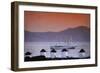 Greece, Cyclades Islands, Mykonos. Windmill and Cruise Ship-Walter Bibikow-Framed Photographic Print