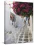 Greece, Cyclades, Mykonos, Mykonos Town-Michele Falzone-Stretched Canvas