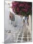 Greece, Cyclades, Mykonos, Mykonos Town-Michele Falzone-Mounted Photographic Print