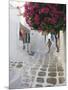 Greece, Cyclades, Mykonos, Mykonos Town-Michele Falzone-Mounted Photographic Print