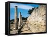 Greece, Delphi, Archaeological Site, Polygonal Wall Beneath Temple of Apollo-null-Framed Stretched Canvas