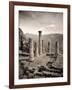 Greece, Delphi (Unesco World Heritage Site), Temple of Apollo-Michele Falzone-Framed Photographic Print