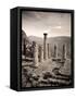 Greece, Delphi (Unesco World Heritage Site), Temple of Apollo-Michele Falzone-Framed Stretched Canvas