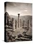 Greece, Delphi (Unesco World Heritage Site), Temple of Apollo-Michele Falzone-Stretched Canvas