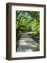 Greece, Epirus, Zagorohoria, Vikos Gorge, Riverfront Walkway-Walter Bibikow-Framed Photographic Print