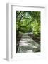 Greece, Epirus, Zagorohoria, Vikos Gorge, Riverfront Walkway-Walter Bibikow-Framed Photographic Print